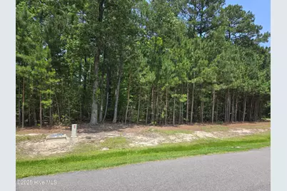 66 Standard Bred Way, Hertford, NC 27944 - Photo 4