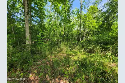 Lot 0 State Hwy 210, Hampstead, NC 28443 - Photo 6