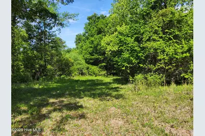Lot 0 State Hwy 210, Hampstead, NC 28443 - Photo 10