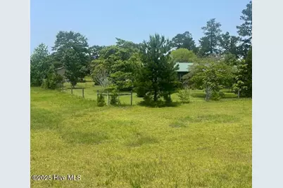 118 Pond Brothers Road, Hamlet, NC 28345 - Photo 6