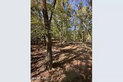 366 Paul Drive, Trenton, NC 28585 - Photo 24