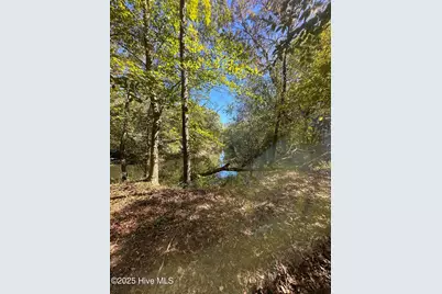 366 Paul Drive, Trenton, NC 28585 - Photo 22