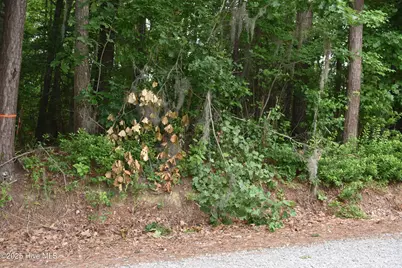 Lots 2 & 3 River Road, Blounts Creek, NC 27814 - Photo 2