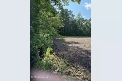 Near 8745 Swamp Fox Highway E, Tabor City, NC 28463 - Photo 6