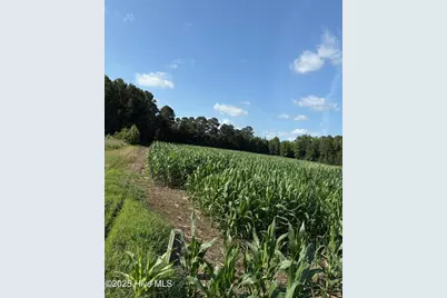 Near 8745 Swamp Fox Highway E, Tabor City, NC 28463 - Photo 2