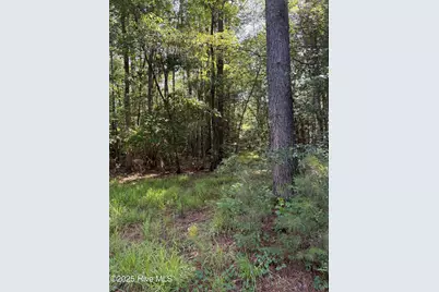Near 8745 Swamp Fox Highway E, Tabor City, NC 28463 - Photo 8
