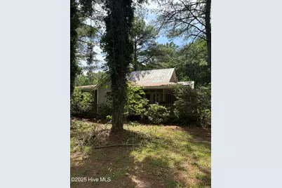 5369 Dilda Church Road, Fountain, NC 27829 - Photo 4
