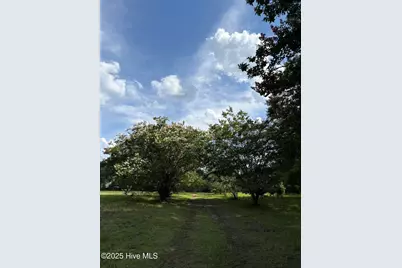 5369 Dilda Church Road, Fountain, NC 27829 - Photo 38