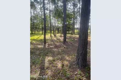 949 Fifty Lakes Drive, Southport, NC 28461 - Photo 56