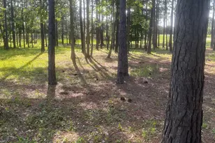 949 Fifty Lakes Dr, Southport, NC 28461 - Photo 56