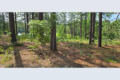 101 Owens Circle, West End, NC 27376 - Photo 2