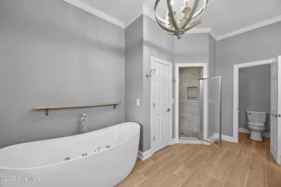 376 Red Fox Run Drive, Wallace, NC 28466 - Photo 38
