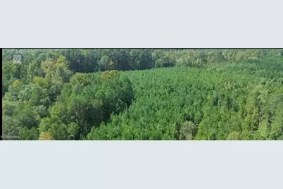 16369 Palmer Road, Marston, NC 28363 - Photo 4