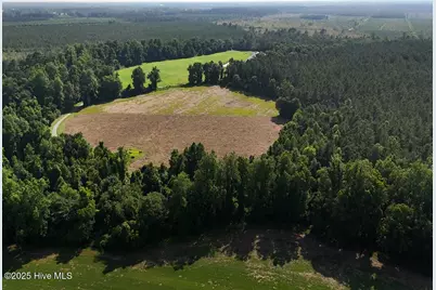 Tract 1 Barbee Road, Richlands, NC 28574 - Photo 6
