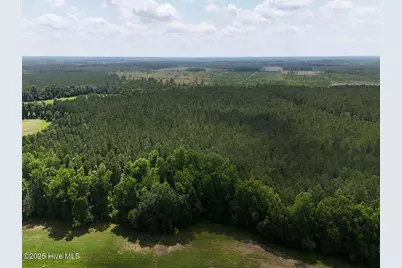 Tract 1 Barbee Road, Richlands, NC 28574 - Photo 8