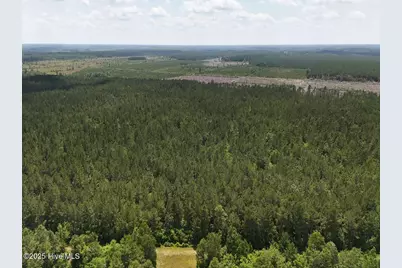 Tract 1 Barbee Road, Richlands, NC 28574 - Photo 12