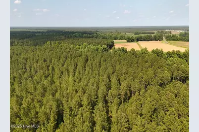 Tract 1 Barbee Road, Richlands, NC 28574 - Photo 20