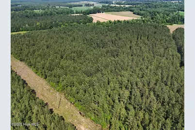 Tract 1 Barbee Road, Richlands, NC 28574 - Photo 38