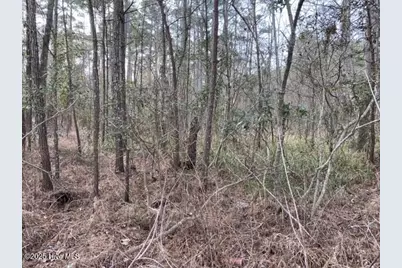 00000 Wades Point Rd, Elizabeth City, NC 27909 - Photo 6