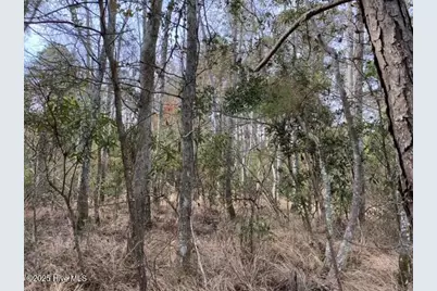 00000 Wades Point Rd, Elizabeth City, NC 27909 - Photo 2