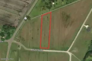 01 Dallas Paul Rd, Belhaven, NC 27810 - Photo 1