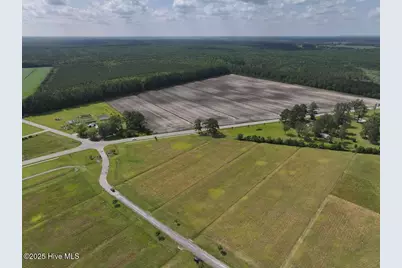 01 Dallas Paul Road, Belhaven, NC 27810 - Photo 4
