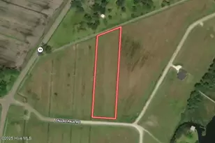 02 Dallas Paul Rd, Belhaven, NC 27810 - Photo 1
