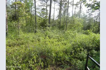 2 River Trail, Burgaw, NC 28425 - Photo 1