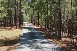 6680 Beulah Hill Church Rd, West End, NC 27376 - Photo 16