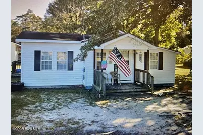 310 Britt Street, Bladenboro, NC 28320 - Photo 4