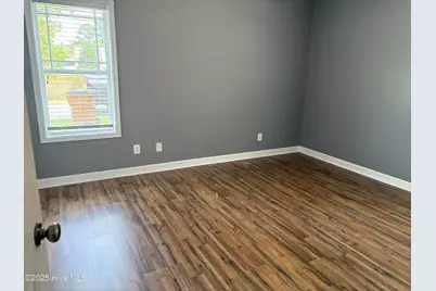 117 Boysenberry Fields Road, Maple Hill, NC 28454 - Photo 16