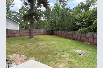 117 Boysenberry Fields Road, Maple Hill, NC 28454 - Photo 20