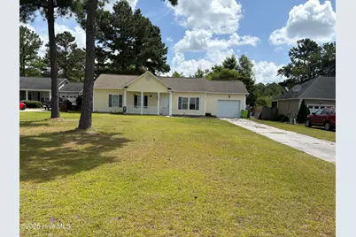 117 Boysenberry Fields Road, Maple Hill, NC 28454 - Photo 2