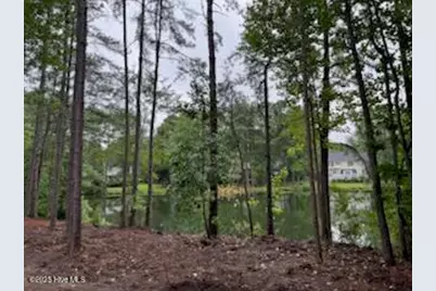 305 Burning Tree Road, Pinehurst, NC 28374 - Photo 28