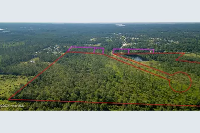 34.38 Ac Stag Drive, Hampstead, NC 28443 - Photo 6