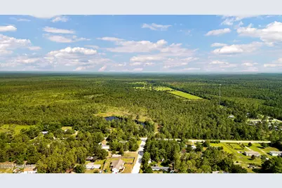 34.38 Ac Stag Drive, Hampstead, NC 28443 - Photo 18