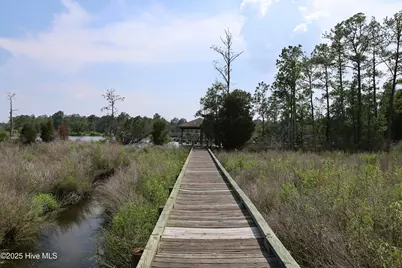 0 Pointe Harbor Drive, Belhaven, NC 27810 - Photo 10