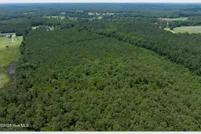 149 Futrell Road, Richlands, NC 28574 - Photo 16