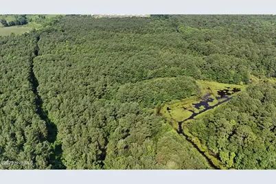 0 Reedsford Road, Turkey, NC 28393 - Photo 22