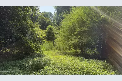 0 Reedsford Road, Turkey, NC 28393 - Photo 32