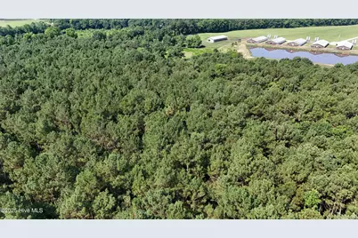 0 Reedsford Road, Turkey, NC 28393 - Photo 28
