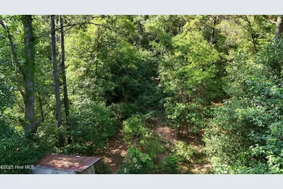 0 Reedsford Road, Turkey, NC 28393 - Photo 6