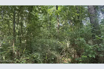 0 Reedsford Road, Turkey, NC 28393 - Photo 38