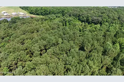 0 Reedsford Road, Turkey, NC 28393 - Photo 30