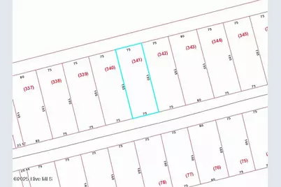 2028 Caracara Drive, New Bern, NC 28560 - Photo 2