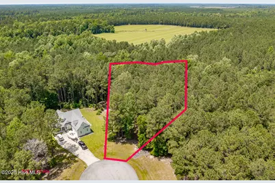 112 Chickory Lane, Minnesott Beach, NC 28510 - Photo 10