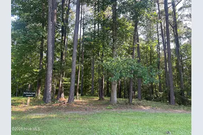112 Chickory Lane, Minnesott Beach, NC 28510 - Photo 6