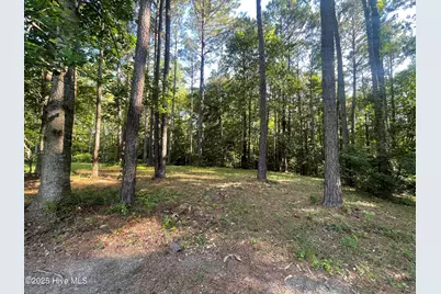112 Chickory Lane, Minnesott Beach, NC 28510 - Photo 8