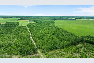 0 Green Sea Road, Garland, NC 28441 - Photo 2