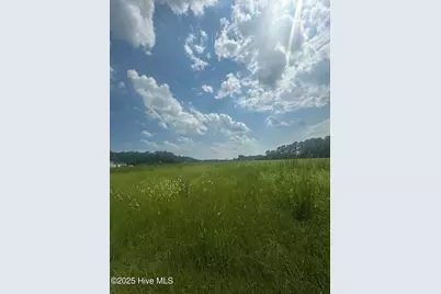 2326 Progressive Farm Road, Fairmont, NC 28340 - Photo 2